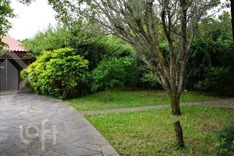 Image 29 - 232006